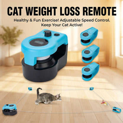 Cat Weight Loss Remote