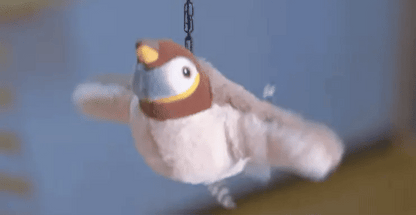 Bird Toy