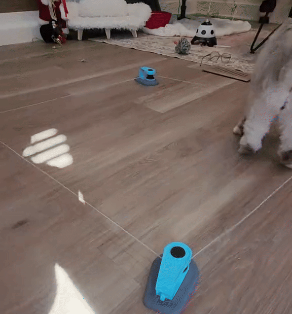 Cat Weight Loss Remote