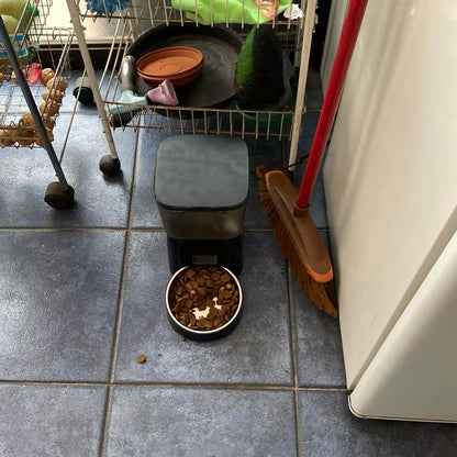 Pet Automatic Feeder